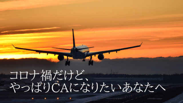 飛行機