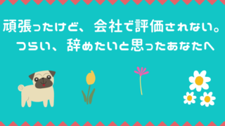犬　花