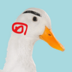 あひる先輩